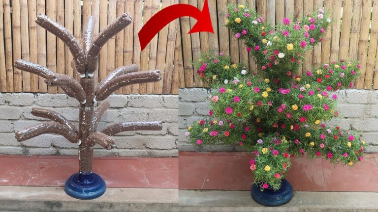 Ein alter Trick verwandelt Plastikflaschen in traumhafte Gartenideen, die begeistern…