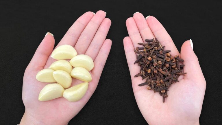 Dieser vergessene Trick verwandelt Knoblauch in ein Sparwunder für deinen Gemüsegarten…