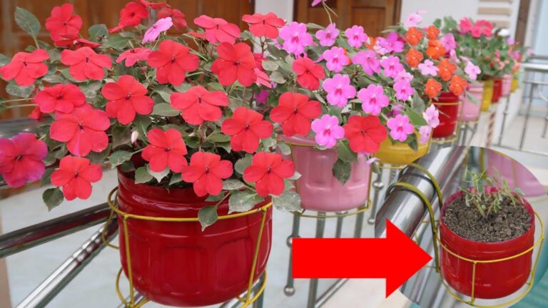 Dieser vergessene Trick verwandelt jeden Balkon in ein blühendes Paradies…