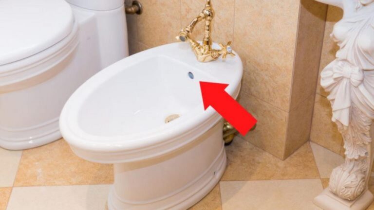 Der Geheimnisvolle zweite Auslass am Bidet – So nützlich!