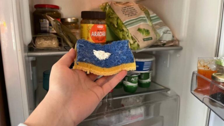 Erschaffe frischen Duft: Schwamm mit Natron im Kühlschrank!