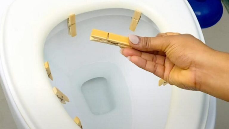 6 Wäscheklammern im WC: Das erstaunliche Ergebnis!