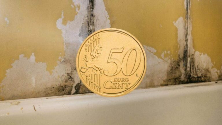 Schluss mit Schimmel: Omas Geheimtipp für 50 Cent!