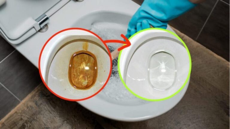 Fleckfrei: So reinigst du deine Toilette nachhaltig!