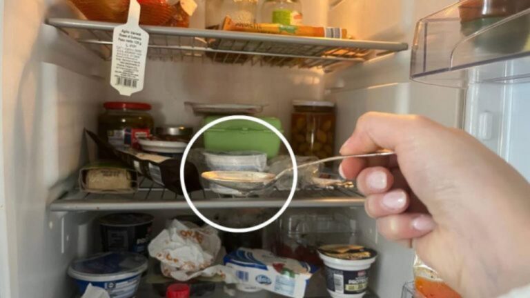 Nie wieder fischiger oder fleischiger Geruch im Kühlschrank!