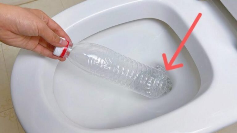 Plastikflasche im Klo: So vermeidest du teure Rohrprobleme!