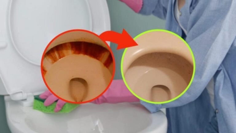 Rostflecken auf der Toilette: So beseitigen Sie sie schnell!