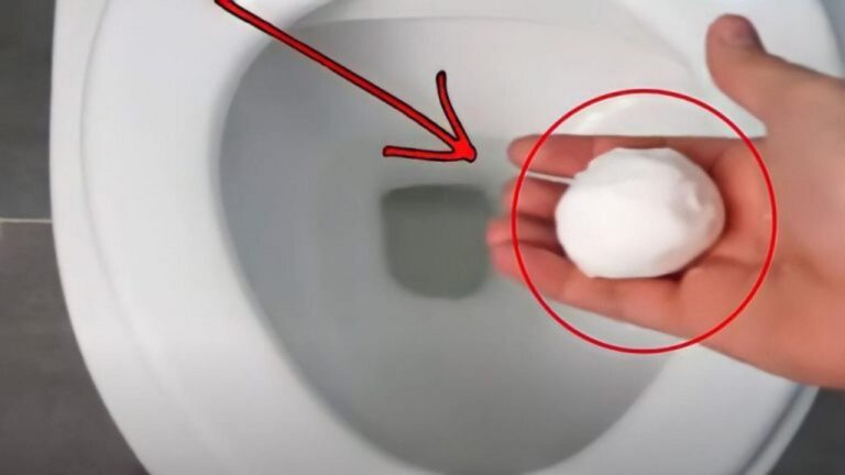 Toilette reinigen: Gerüche und hartnäckige Flecken in Minuten beseitigen