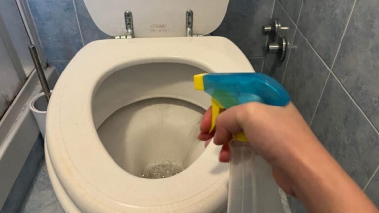 Spray für die Toilette: So werden hartnäckige Flecken weg!