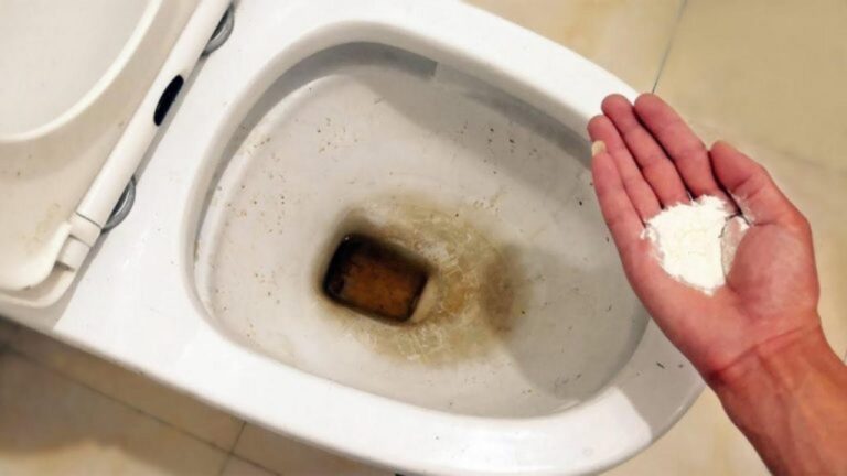 Brillante Toiletten dank Omas geheimem Küchentrick!