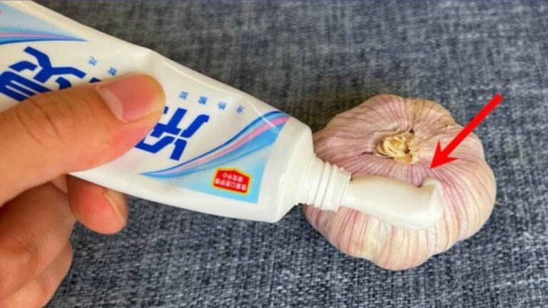 Zahnpasta mit Knoblauch: Diese erstaunlichen Vorteile!