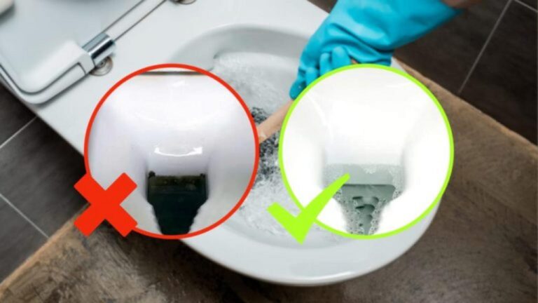 Perfekte Toilettenreinigung: Der effektive Geheimtipp