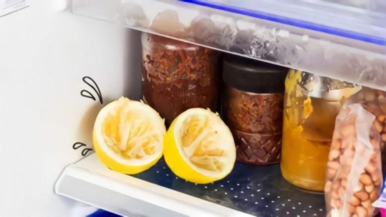 Legen Sie 2 Zitronenschalen in den Kühlschrank – das passiert!