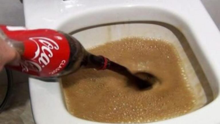 Fülle die Toilette mit einem halben Liter Cola: Das passiert wirklich!