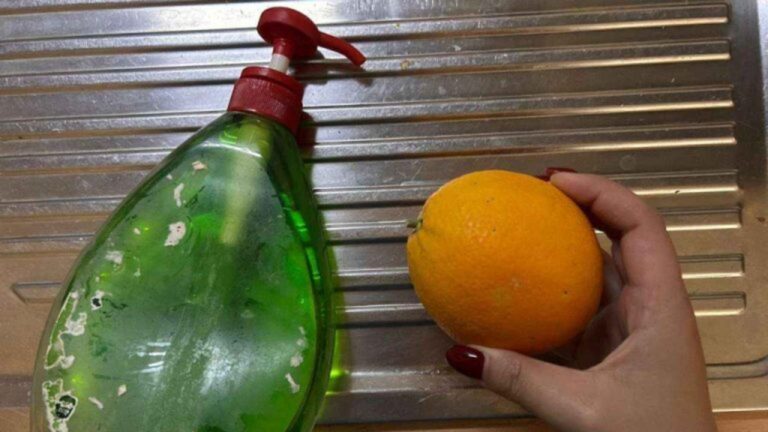 Überrascht vom Ergebnis: Orange Peeling & Geschirrreiniger mixen!