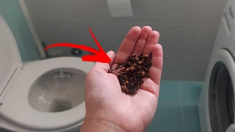 Mit Nelken im WC: Unglaubliche Wirkung über Nacht!