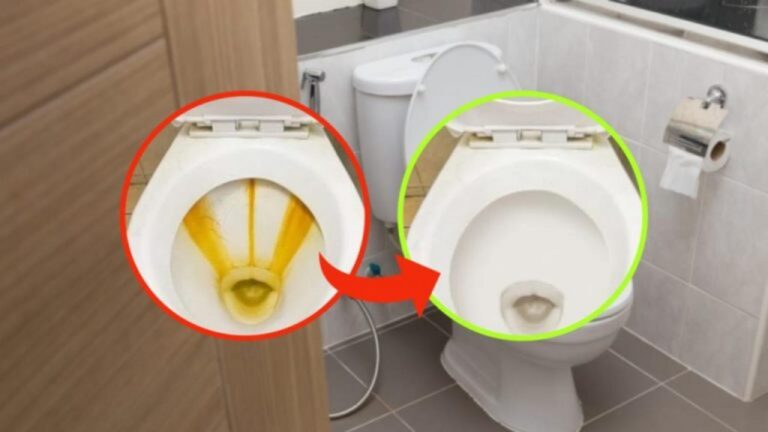 Kalkablagerungen in der Toilette leicht entfernen: So geht’s!
