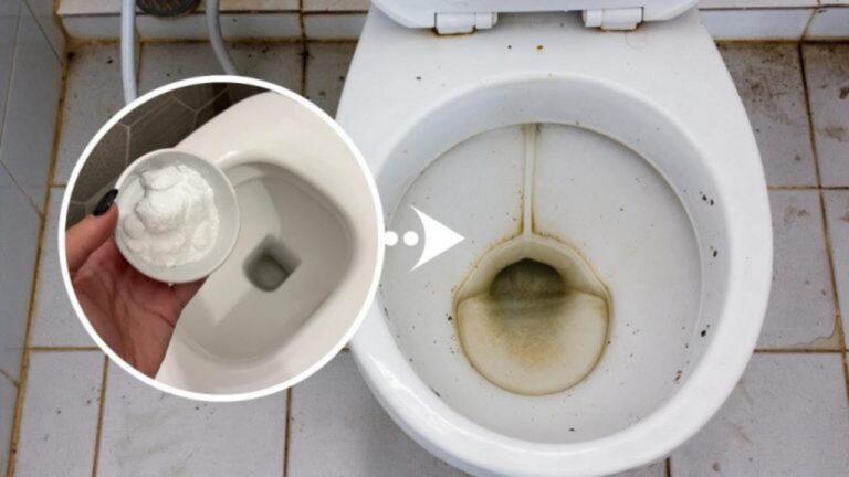 Tschüss Flecken: 100 % natürliche Toilette-Reinigung!