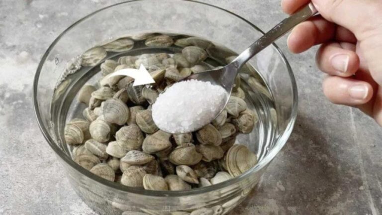 Sande in Muscheln verhindern: Einfach diesen Tipp ausprobieren!