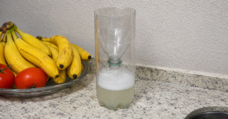 Fliegen in nur einem Tag bekämpfen: So baust du eine einfache Falle aus einer Plastikflasche