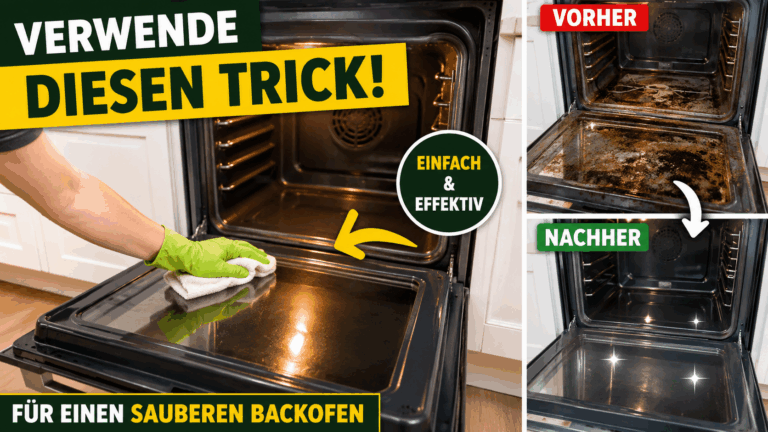 Backofen gründlich reinigen: So wird er wieder strahlend sauber