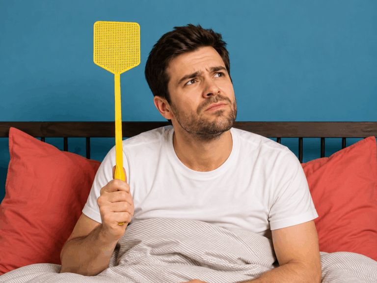 Fliegen in der Wohnung? Für 2 Euro ziehen sie wieder aus!